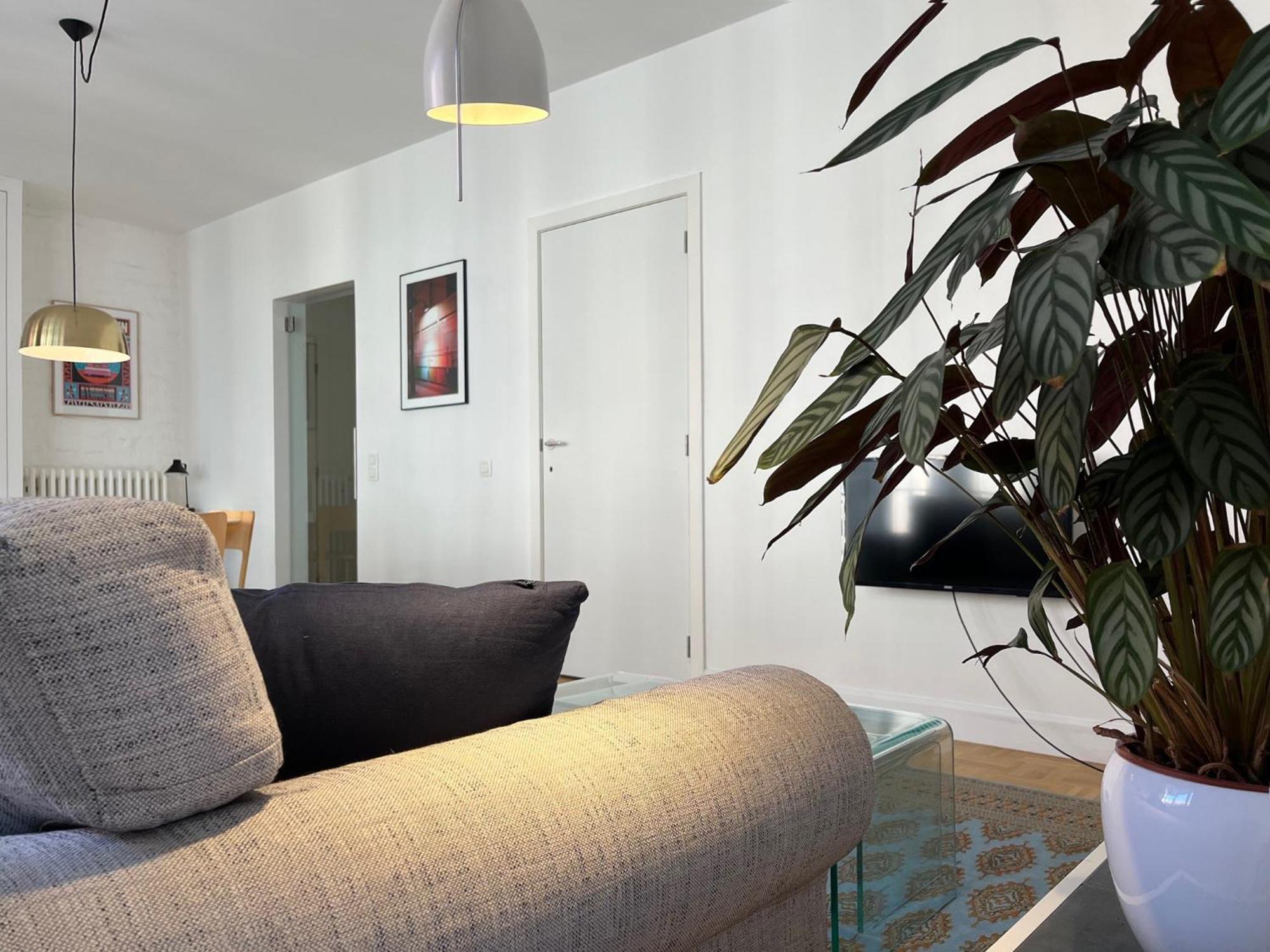 Trendy & Sunny Apartment In Gent Eksteriør billede